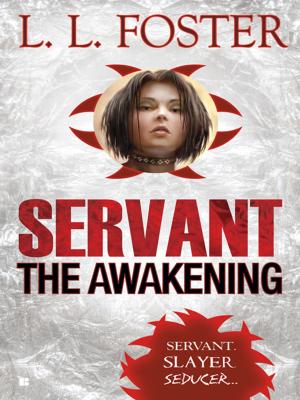 Cover of the book Servant: The Awakening by Robin Kaye
