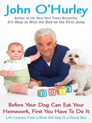Cover of the book Before Your Dog Can Eat Your Homework, First You Have to Do It by Clive Cussler, Dirk Cussler