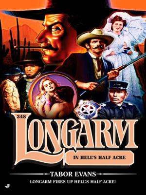 Cover of the book Longarm 348 by Julie James