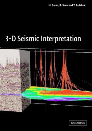 Cover of the book 3-D Seismic Interpretation by Rebecca Schmidt