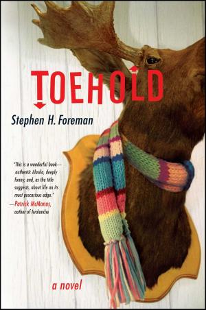 Cover of the book Toehold by Jeffery Deaver