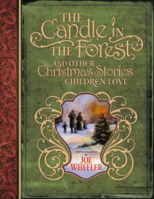 Book cover of The Candle in the Forest