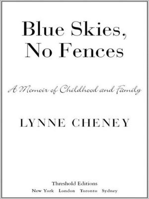 Cover of the book Blue Skies, No Fences by Jack Cashill
