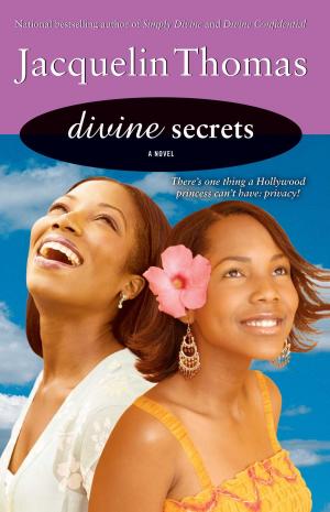 Cover of the book Divine Secrets by Kristina Douglas