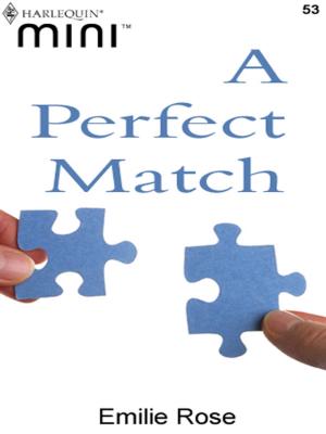 Cover of the book A Perfect Match by Christine Michelle, Christine M. Butler