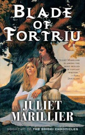Cover of the book Blade of Fortriu by Frederik Pohl