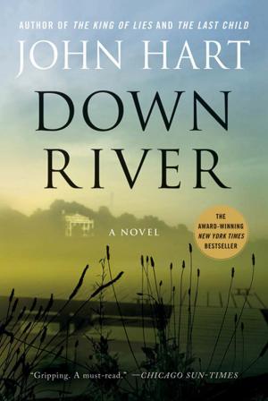 Cover of the book Down River by Hiroshi Mikitani