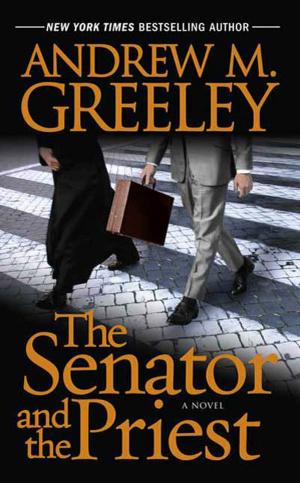 Cover of the book The Senator and the Priest by Anne Harris