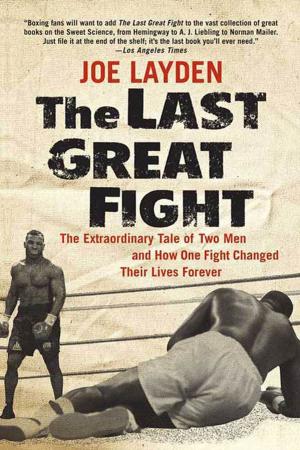 Cover of the book The Last Great Fight by Jenna Bayley-Burke