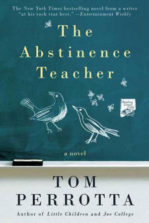Cover of the book The Abstinence Teacher by Jo Bannister