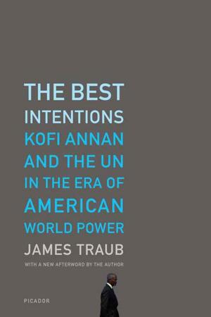 Cover of the book The Best Intentions by Amelia Gray