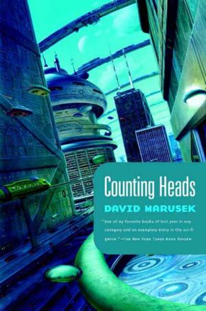 Cover of the book Counting Heads by R. A. Salvatore