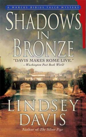 Cover of the book Shadows in Bronze by Iris Johansen