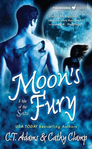 Cover of the book Moon's Fury by Alex Bledsoe