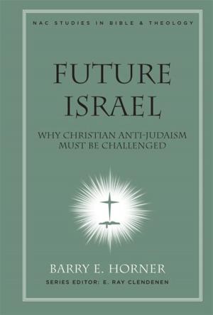 Cover of the book Future Israel by Sharie King