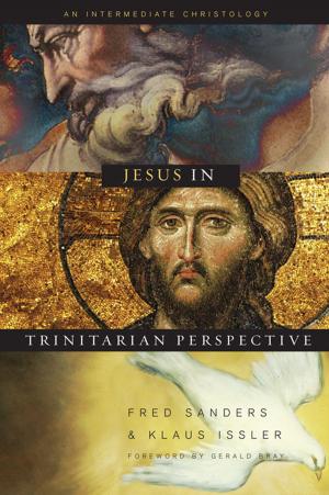 Cover of the book Jesus in Trinitarian Perspective by Luis Ángel Díaz-Pabón