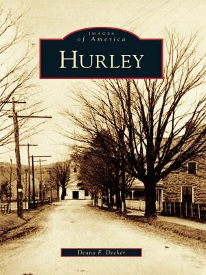 Cover of the book Hurley by Michelle Arnosky Sherburne