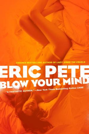 Cover of the book Blow Your Mind by Eric Linklater