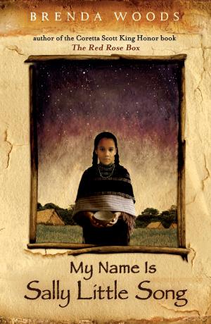 Cover of the book My Name Is Sally Little Song by Beckie Weinheimer