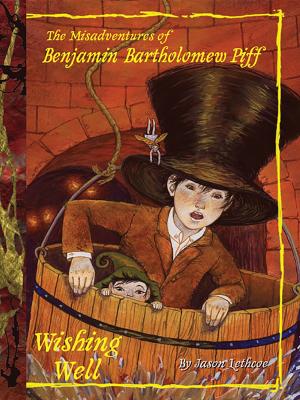 Book cover of Wishing Well #3