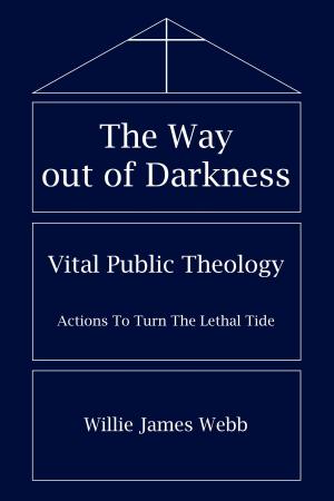 Cover of the book The Way out of Darkness by William M. Kaufman Ph.D.