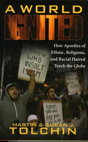 Cover of the book A World Ignited by Jim Horn
