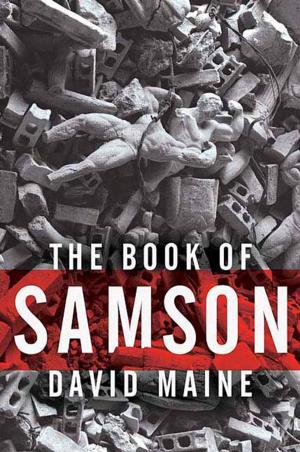 Cover of the book The Book of Samson by Gordon Thomas