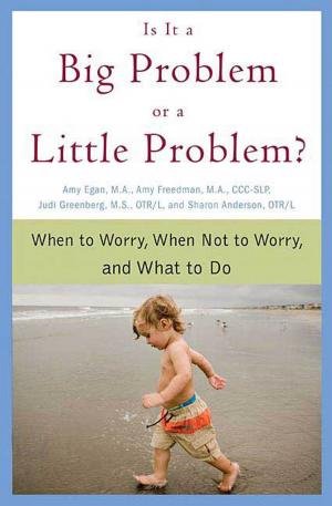 Book cover of Is It a Big Problem or a Little Problem?