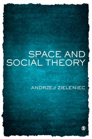 Cover of the book Space and Social Theory by Cheryl Hanley-Maxwell, Lana Collet-Klingenberg