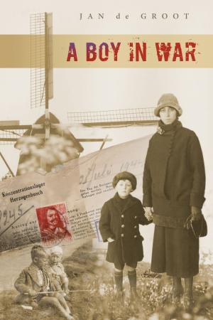 Book cover of A Boy in War