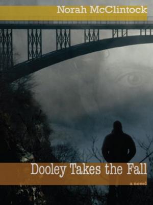 Book cover of Dooley Takes the Fall