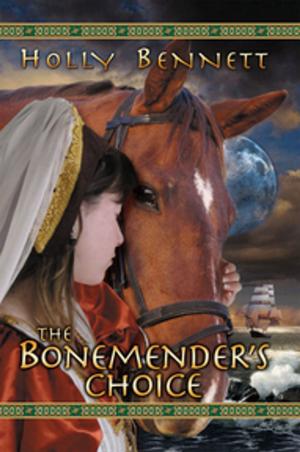 Cover of the book The Bonemender's Choice by Marilyn Helmer