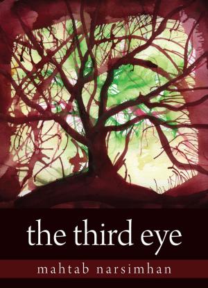 Cover of the book The Third Eye by Deborah Kerbel