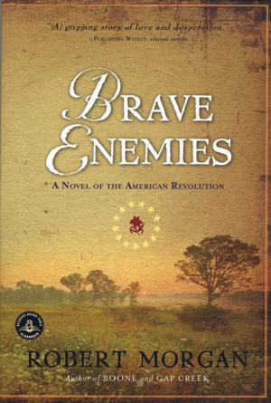 Cover of the book Brave Enemies by Lewis Nordan