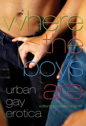 Cover of the book Where the Boys Are by Anne Semans