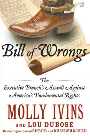 Cover of the book Bill of Wrongs by 