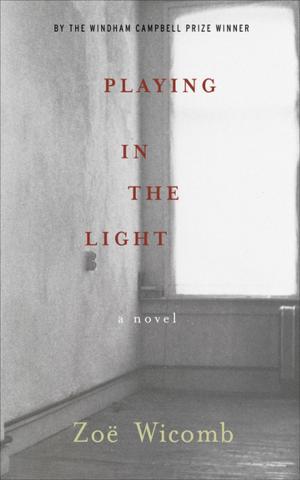 Cover of the book Playing in the Light by Susan Engel