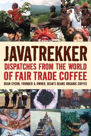 Cover of the book Javatrekker by Sherman Lewis