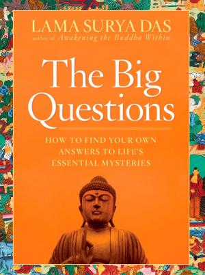 Book cover of The Big Questions