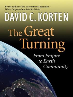 Book cover of The Great Turning