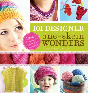Cover of the book 101 Designer One-Skein Wonders® by Karen Morris