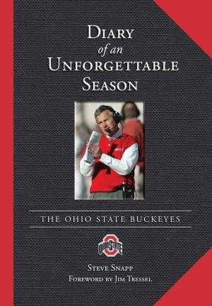 Cover of the book Diary of an Unforgettable Season by Aaron Gleeman
