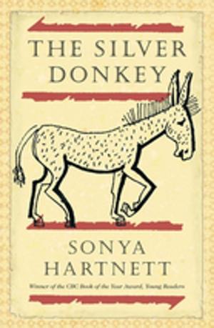 Cover of the book The Silver Donkey by Matthew Benns