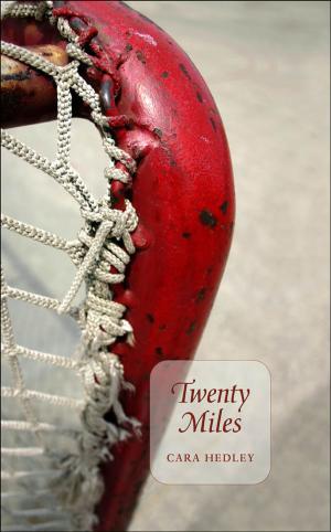 Cover of the book Twenty Miles by Nikki Bolvair