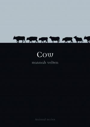 Cover of the book Cow by Dan Wylie