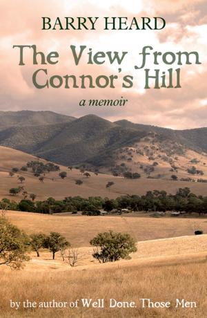 Book cover of The View From Connor's Hill