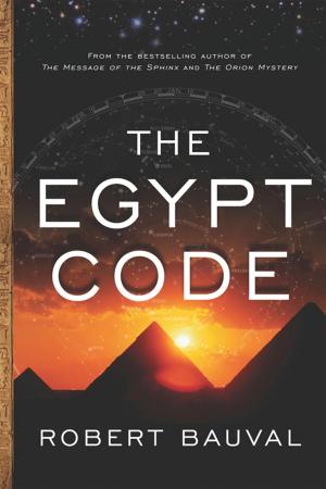 Cover of the book The Egypt Code by Stacey J.