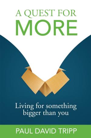 Cover of the book A Quest for More by Timothy S. Lane, Paul David Tripp