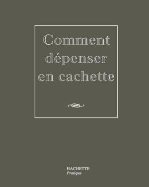 Cover of the book Comment dépenser en cachette by Leslie Gogois, Stéphan Lagorce, Aude de Galard, Laurence Du Tilly
