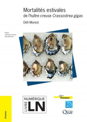 Cover of the book Mortalités estivales de l'huître creuse Crassostrea gigas by Collectif